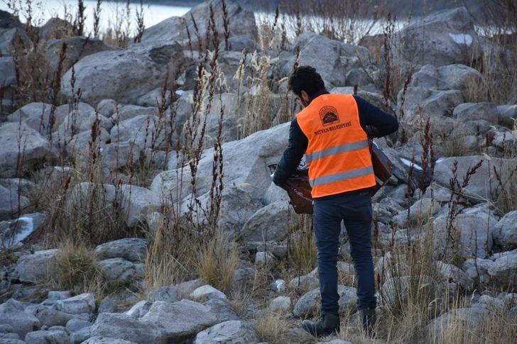 Nemrut Krater Gölü çevresine bir ton yem bırakıldı G5