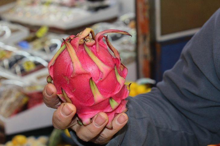 Ejder meyvesi sezonu kapattı G2