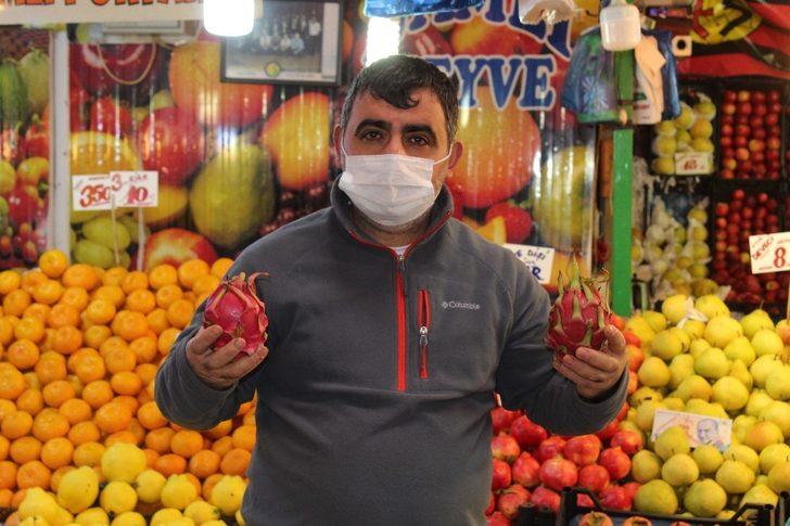 Ejder meyvesi sezonu kapattı G3