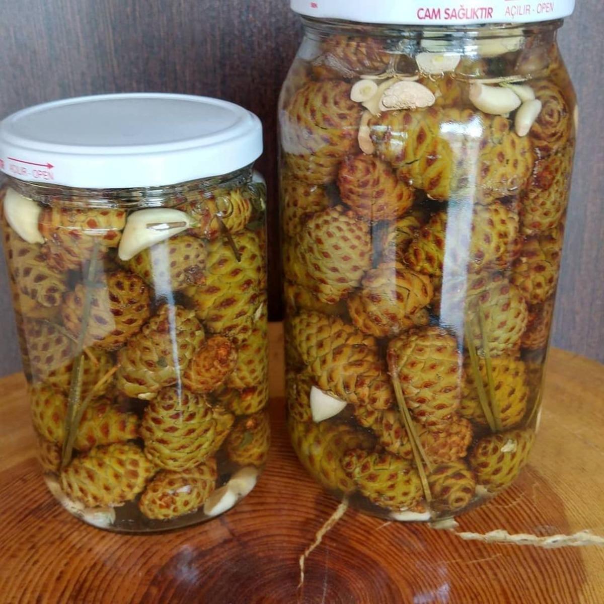 S&uuml;s olarak kullanılan kozalaklar şifa kaynağı oluyor