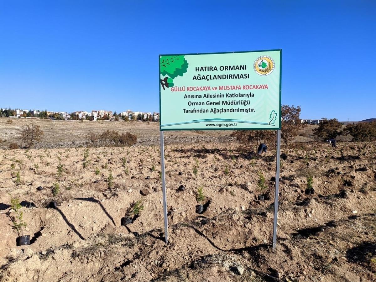 Kocakaya ailesi i&ccedil;in tesis edilen &lsquo;hatıra ormanı&rsquo;na 2 bin adet kara&ccedil;am ve sedir fidanı dikildi