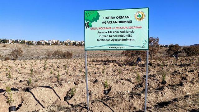 Kocakaya ailesi için tesis edilen ‘hatıra ormanı’na 2 bin adet karaçam ve sedir fidanı dikildi