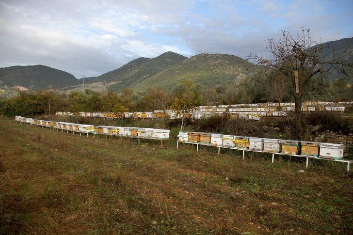 TAB Başkanı Şahin’den "arı ürünleri uyarısı" G2