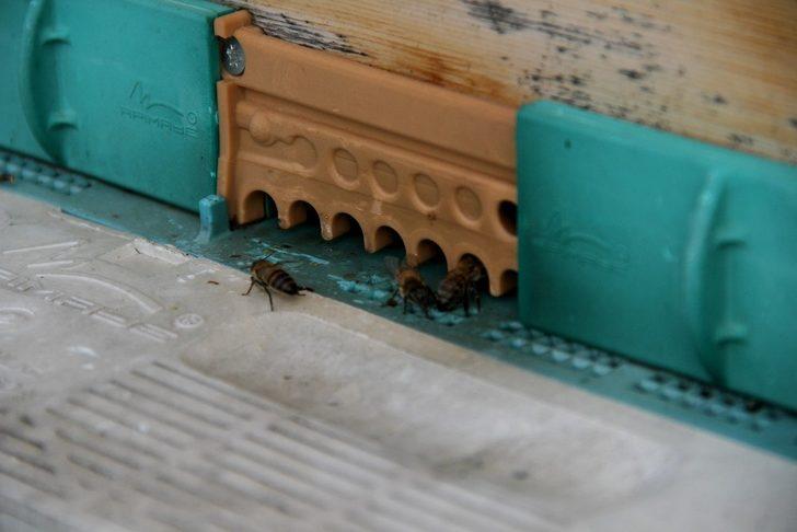 TAB Başkanı Şahin’den "arı ürünleri uyarısı" G4