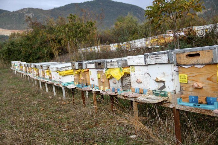 TAB Başkanı Şahin’den "arı ürünleri uyarısı" G5