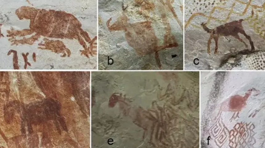 On binlerce yıl önce kaybolan devasa hayvan resimleri keşfedildi