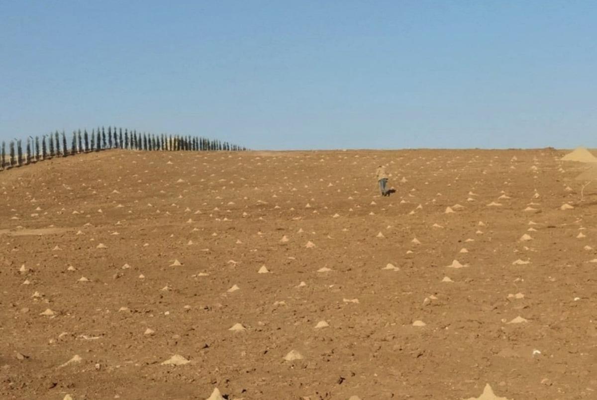 Ke&ccedil;i&ouml;ren Belediyesi 23 d&ouml;n&uuml;ml&uuml;k organik &uuml;z&uuml;m bağı kurdu