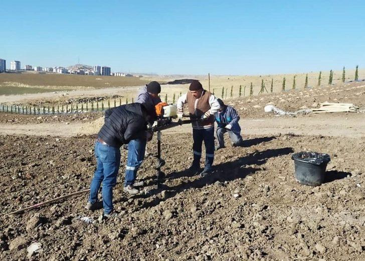 Keçiören Belediyesi 23 dönümlük organik üzüm bağı kurdu G2