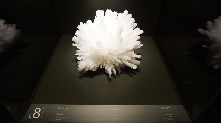 Mineral müzesi Beyrut