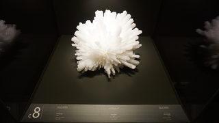 Mineral müzesi Beyrut