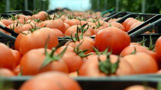 İstanbul'da nisanda perakende fiyatlar yüzde 1,01, toptan fiyatlar yüzde 0,70 arttı