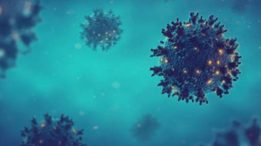 Astım hastalarının Covid-19'a yakalanma olasılığı y&uuml;zde 30 daha az