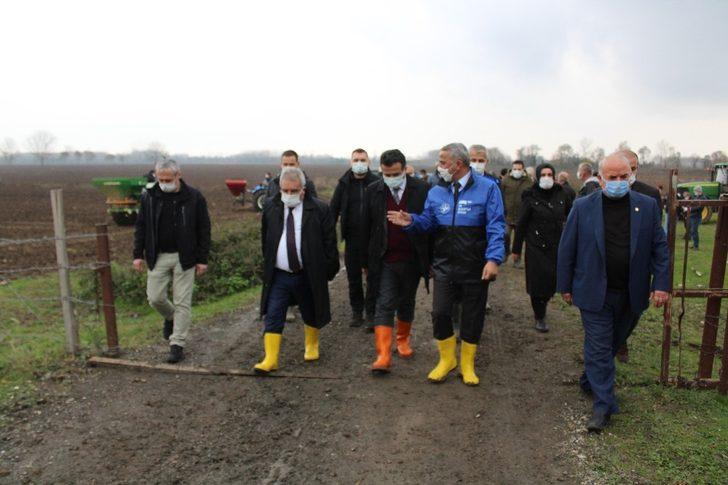 Samsun’da meralar ıslah ediliyor G1