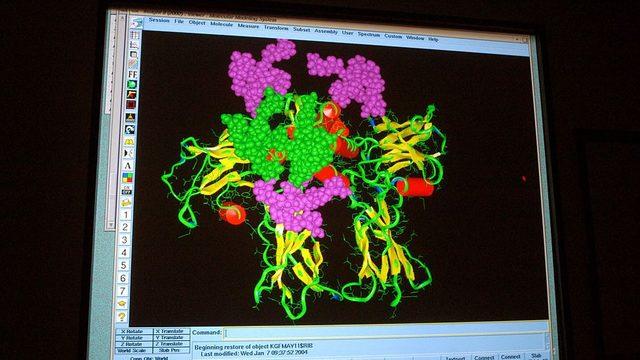 Reseptöre bağlı bir proteinin görünümü