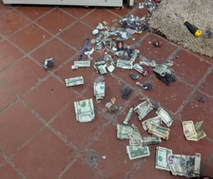 Atmadan önce mutlaka bakın! Kurutma makinesinin içinden çıkanlar şoke etti