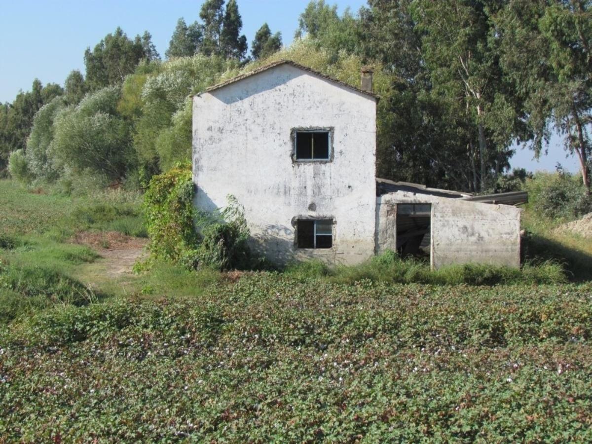 Aşağı B&uuml;y&uuml;k Menderes Havzası yağmura hasret