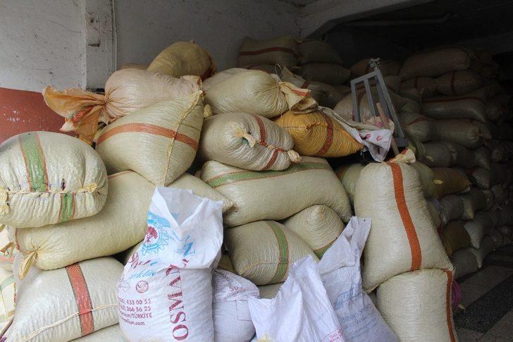 Fındıkta son durum ümit vermiyor G2