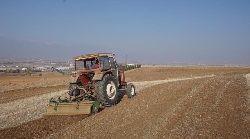 Akyurt’a 25 dönümlük meyve bahçesi