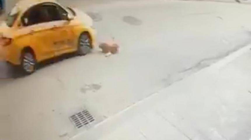 (&Ouml;zel) Pendik&rsquo;te k&ouml;peğe &ccedil;arpan taksici ka&ccedil;tı