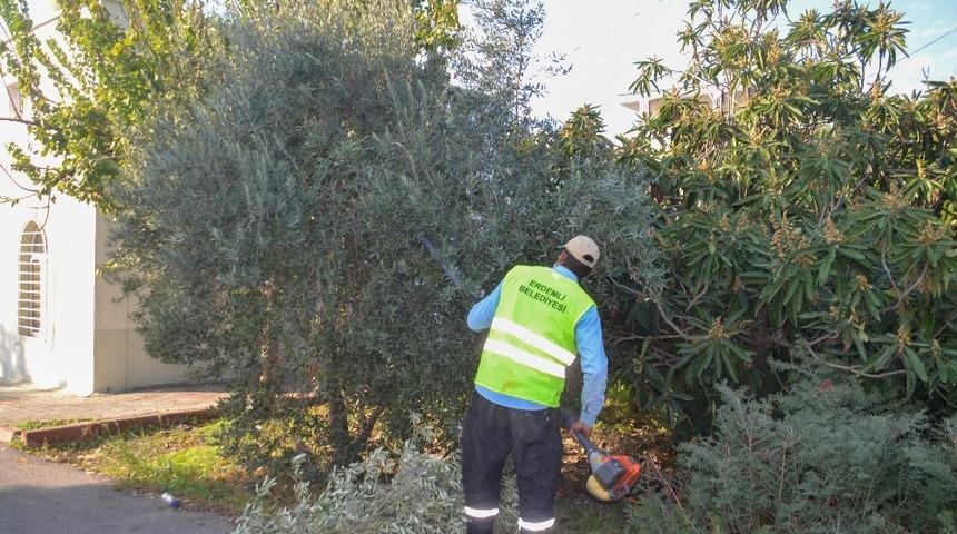 Erdemli&rsquo;de yeşil alanlarda bakım &ccedil;alışması s&uuml;r&uuml;yor
