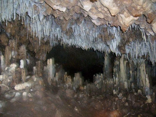 aydın karacasu sırtlanini mağarası