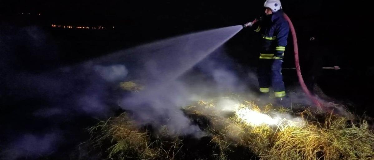 Erciş&rsquo;te ot yangını