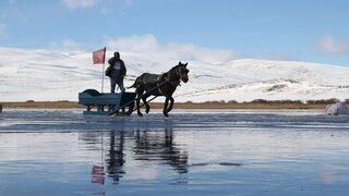 Çıldır Gölü'nde atlı kızak sezonu açıldı