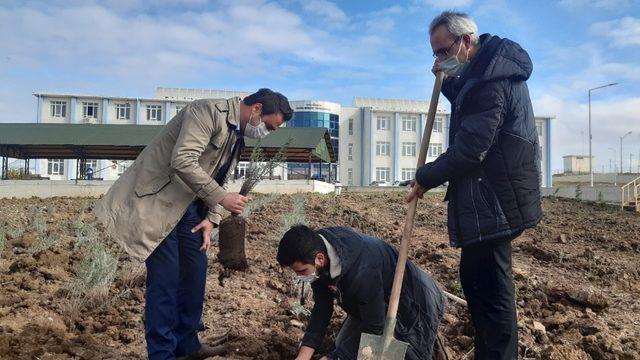 Havsa Meslek Yüksekokulu’nun havası, aromatik bitkilerle değişecek