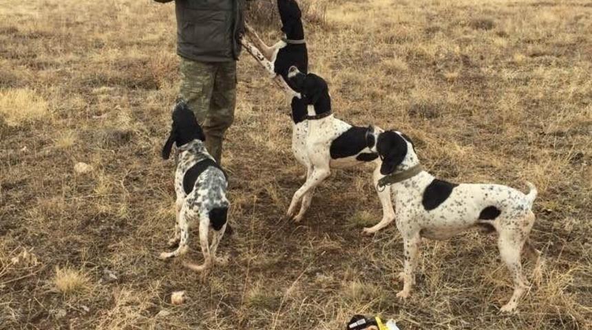 Sokağa &ccedil;ıkma kısıtlamaları avcıları olumsuz etkiledi