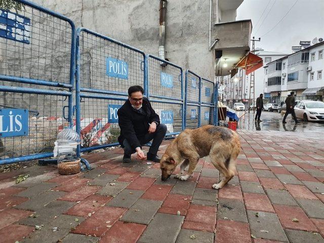 HAYTAp’tan kedi ve köpekler için mama bağışı