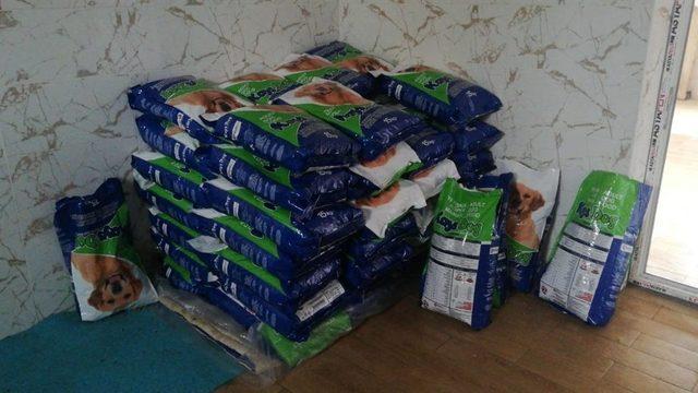 HAYTAp’tan kedi ve köpekler için mama bağışı