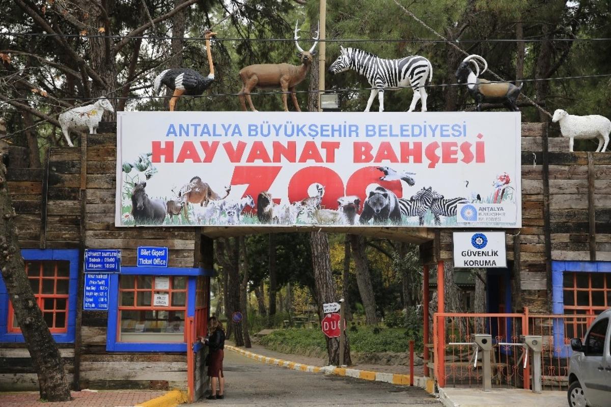Hayvanat Bah&ccedil;esi ziyarete kapatıldı, sosyal tesisler faaliyetlerine ara verdi