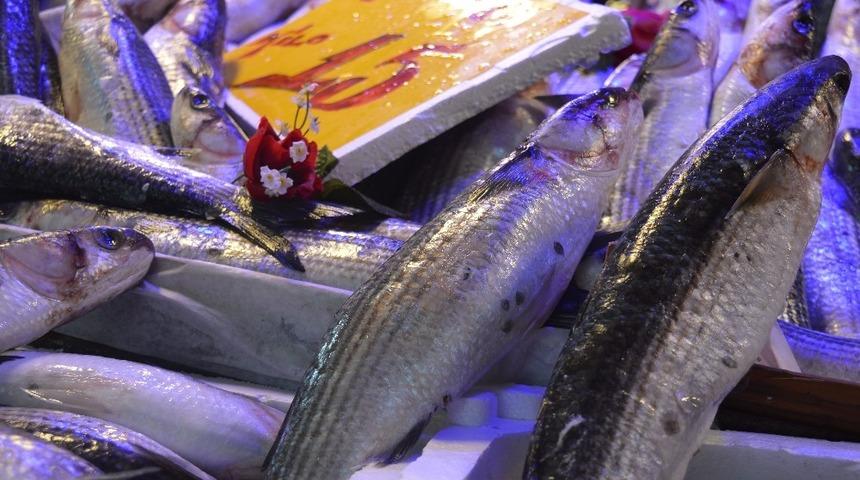 Kefal 15 lira ile tezgâhın en ucuz balığı oldu
