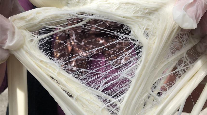 Beyaz rengiyle dikkat çekiyor! Çeçil peynirinin lezzet sırrını açıkladı