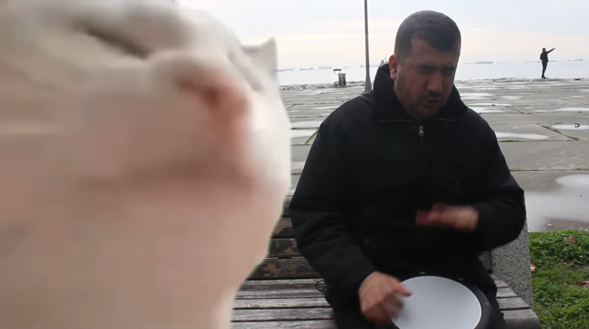 YouTube Instagram hesabı Bilal Göregen'in 'Cat Vibing' videosunu paylaştı!