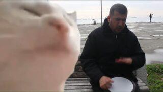 YouTube Instagram hesabı Bilal Göregen'in 'Cat Vibing' videosunu paylaştı!