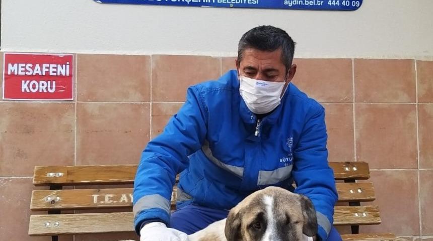 G&ouml;rme engelli k&ouml;pek, sıcak yuvasına kavuştu