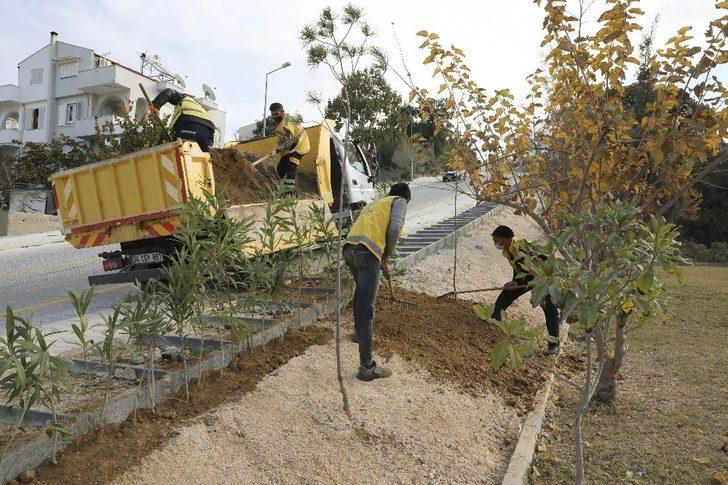 Aydın Büyükşehir belediyesi yolları yenilemeye devam ediyor G5