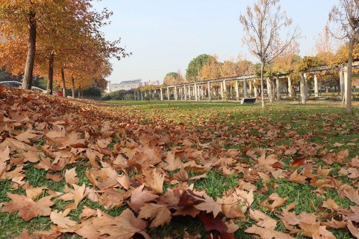 Sahipsiz hazan güzelliği görenleri cezp ediyor G2