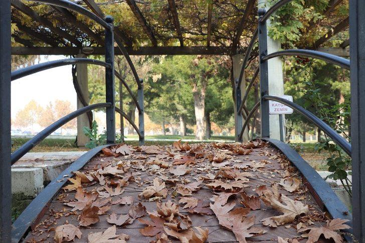 Sahipsiz hazan güzelliği görenleri cezp ediyor G5