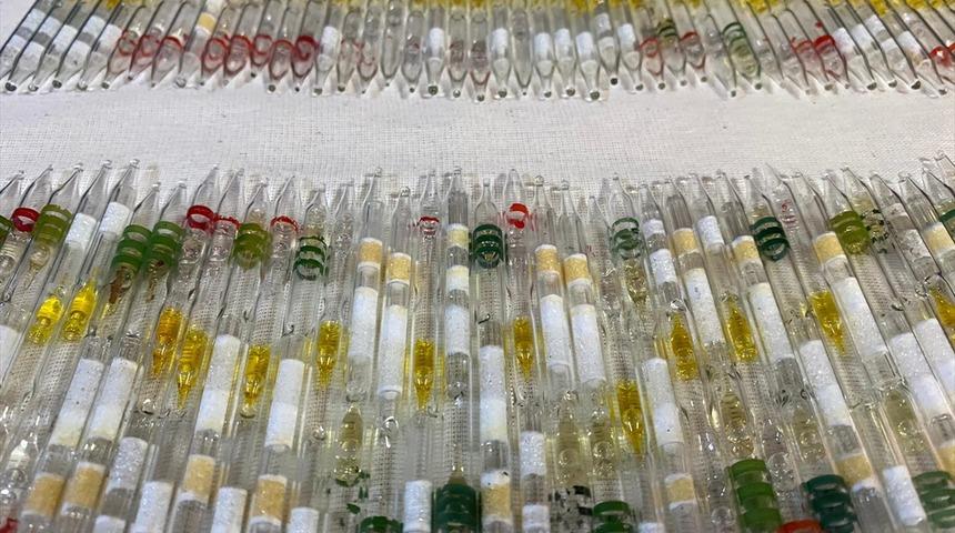 Hatay'da 152 tüp kobra zehri ele geçirildi