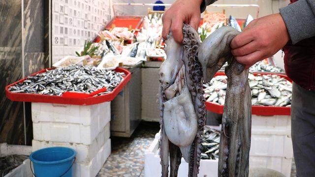 Kilogram fiyatı 55 liraya düşen ahtapot tezgahların gözdesi oldu