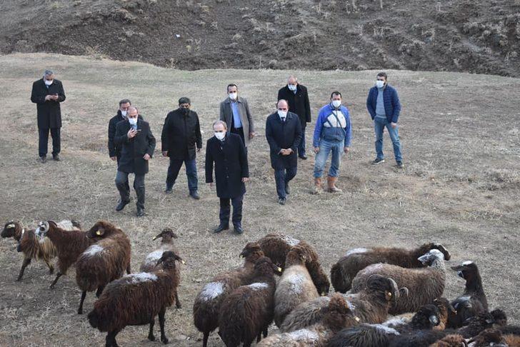 Bayburt’un yüksek rakımlı meraları artık boş değil G2