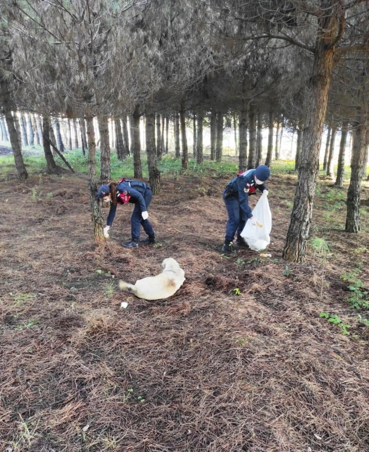 Jandarmadan &ouml;rnek davranış