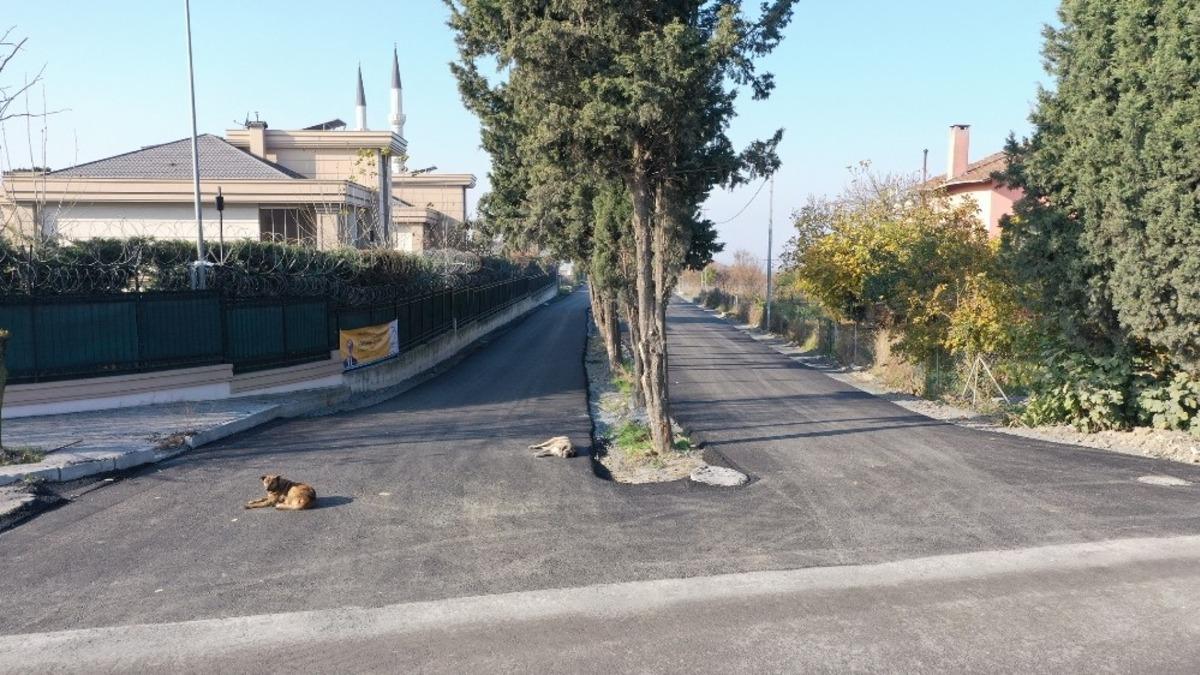 Yılın son asfalt &ccedil;alışması Moda Caddesi&rsquo;nde yapıldı