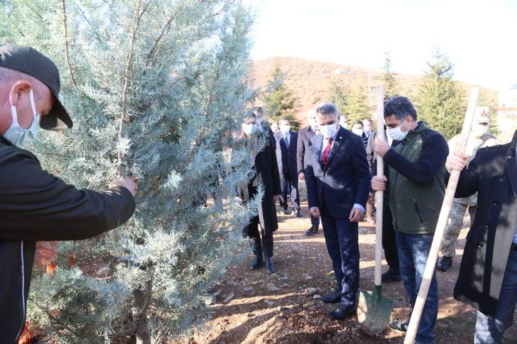 Tunceli’de “Kahraman Sağlık Çalışanları Hatıra Ormanı” oluşturuldu G1