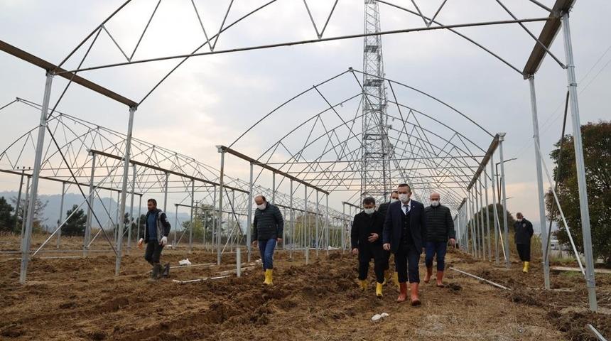 OD&Uuml; uygulama arazisinde seralar kuruluyor