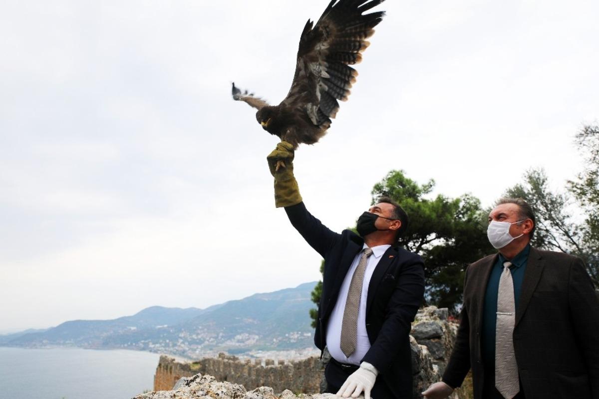 Başkan Y&uuml;cel, tedavisi tamamlanan kartalı doğaya saldı