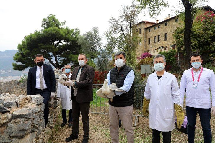 Başkan Yücel, tedavisi tamamlanan kartalı doğaya saldı G2