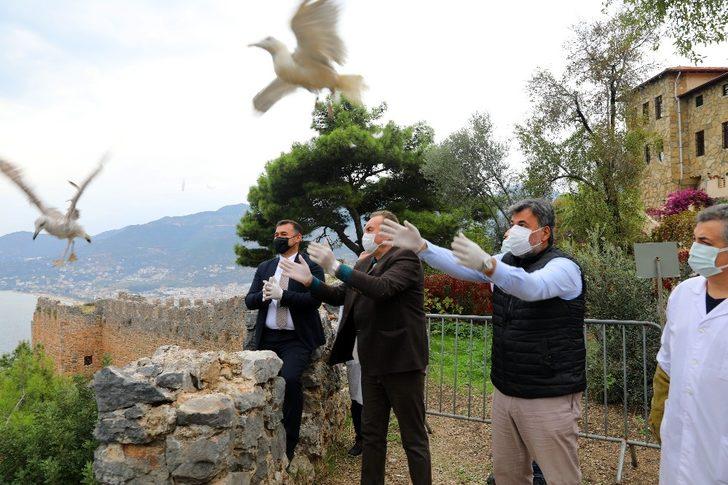 Başkan Yücel, tedavisi tamamlanan kartalı doğaya saldı G3